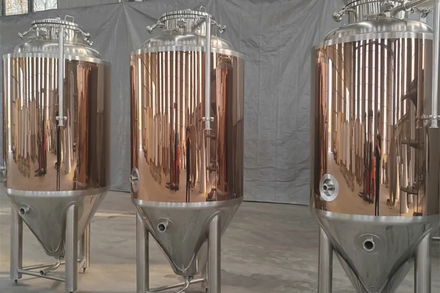 Conical Fermentation Tank