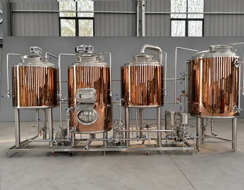 Italy 300L Brewery Equipment
