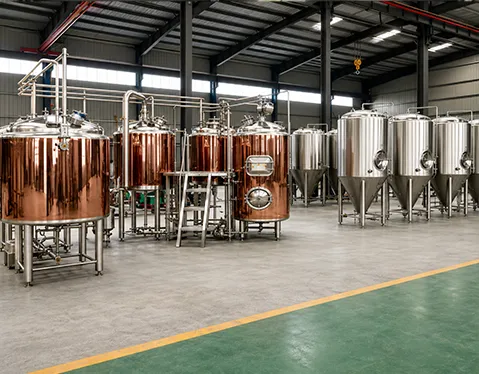 Switzerland 500L Beer Brewing Equipment