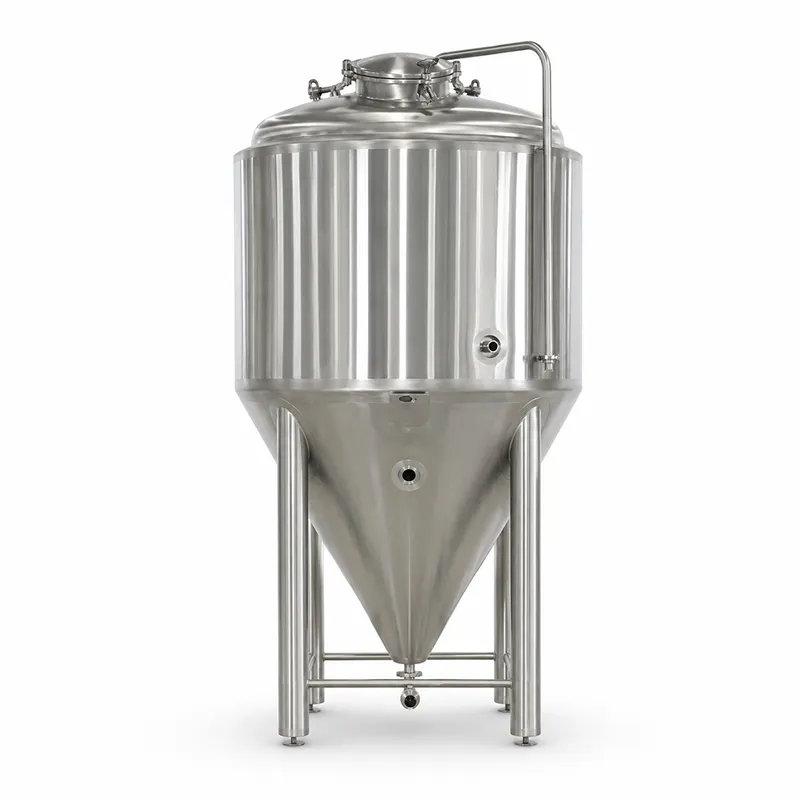 Top Manway beer fermentation tank