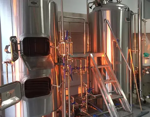 Turkey 500L Beer Brewery Equipment