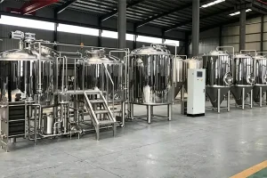 Argentina 1000L Beer Brewery Equipment