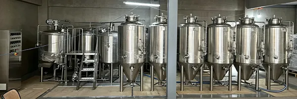 300L Beer Brewery Equipment In Philippines