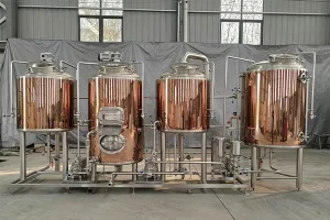 Italy 300L Brewery Equipment