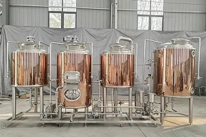 Italy 300L Brewery Equipment