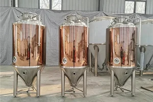 Italy 300L Brewery Equipment