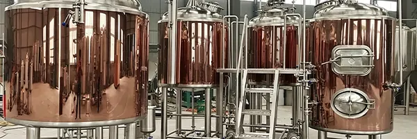 Switzerland 500L Beer Brewing Equipment