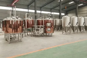 Switzerland 500L Beer Brewing Equipment