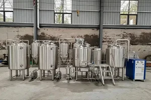 300L Craft Beer Equipment for ADLP Brewery