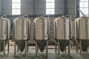 Georgia 1000L Turnkey Beer Brewery Equipment