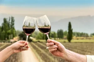 wine