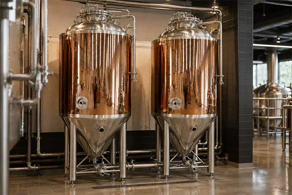 Fermenter2